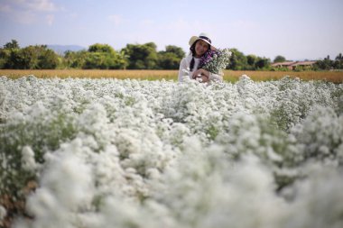 Mae Rim bölgesinde çiçek taşıyan kadın, Chiang Mai, Tayland