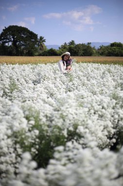 Mae Rim bölgesinde çiçek taşıyan kadın, Chiang Mai, Tayland