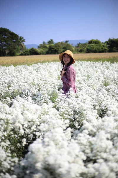 Donna Piedi Nei Campi Fiori Cutter Nel Distretto Mae Rim — Foto Stock