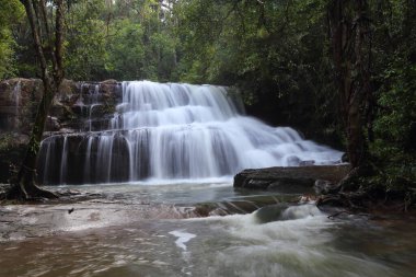 Pang Sida Şelalesi Sa Kaeo, Tayland 'daki Pang Sida Ulusal Parkı