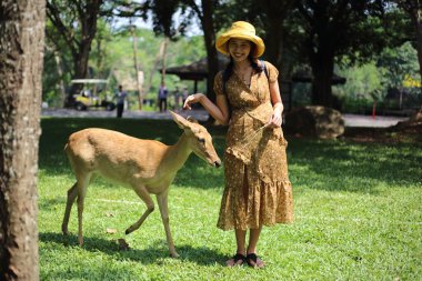 Kadınlar Khao Kheow Açık Hayvanat Bahçesi, Chon Buri, Tayland 'da geyik besliyor.