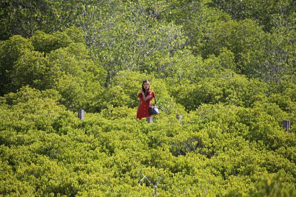 Tayland Rayong Daki Tung Prong Tangasında Duran Bir Kadın — Stok fotoğraf