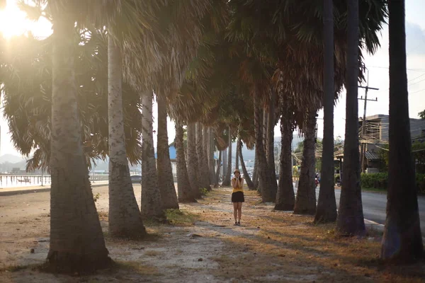 道端のヤシの園に立つ女 Sattahip Thailand — ストック写真