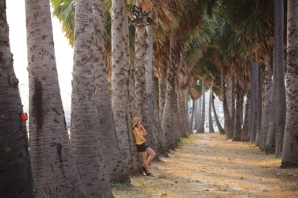 Mulher Jardim Palma Plantada Beira Caminho Sattahip Tailândia — Fotografia de Stock