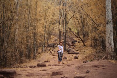 Phu Kradueng Ulusal Parkı, Loei, Tayland 'daki bambu ormanında duran kadınlar
