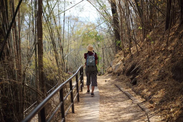 Phu Kradueng Ulusal Parkı, Loei, Tayland 'daki bambu ormanında duran kadınlar