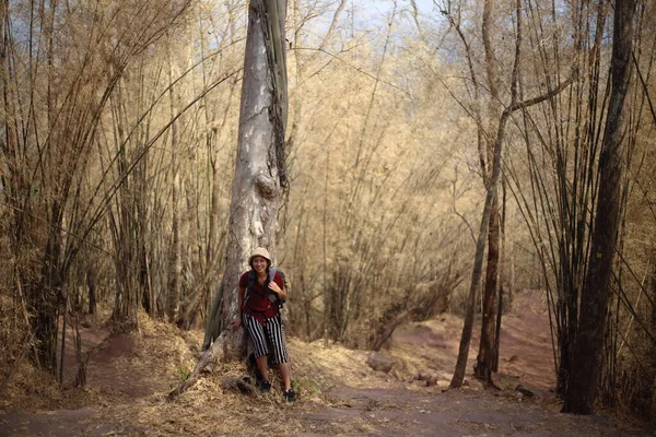 泰国洛埃Phu Kradueng国家公园竹林中的妇女 — 图库照片