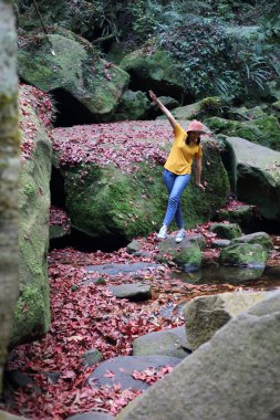 Yere düşmüş kırmızı akçaağaç yapraklarıyla kaplı bir kadın. Phu Kradueng Ulusal Parkı, Loei, Tayland