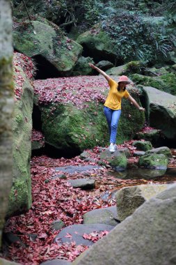 Yere düşmüş kırmızı akçaağaç yapraklarıyla kaplı bir kadın. Phu Kradueng Ulusal Parkı, Loei, Tayland