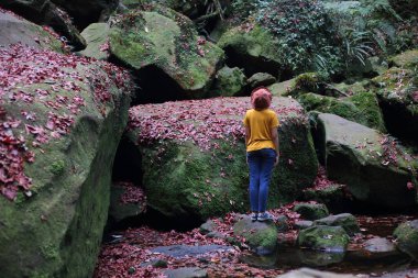 Yere düşmüş kırmızı akçaağaç yapraklarıyla kaplı bir kadın. Phu Kradueng Ulusal Parkı, Loei, Tayland