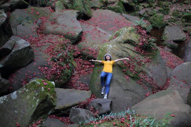 Bir kadın, Tayland 'ın Loei Eyaleti Phu Kradueng Ulusal Parkı' nda düşen kırmızı akçaağaç yapraklı bir alana uzandı..