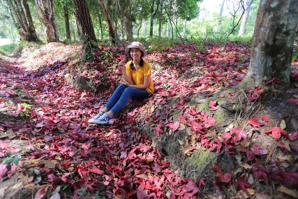 Mulher Sentada Chão Coberta Com Folhas Bordo Vermelho Caídas Parque — Fotografia de Stock