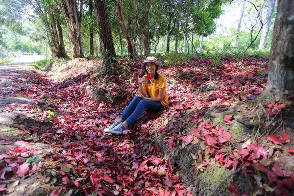 泰国洛埃府克拉敦国家公园 一名妇女坐在被落下来的红枫叶覆盖的地面上 — 图库照片