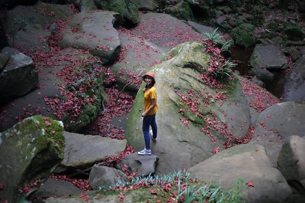 Vrouw Grond Bedekt Met Gevallen Rode Esdoorn Bladeren Phu Kradueng — Stockfoto
