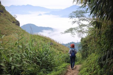 Kadın ayakta ve Doi Pha Tang Chiang Rai, Tayland manzarasının tadını çıkarıyor.