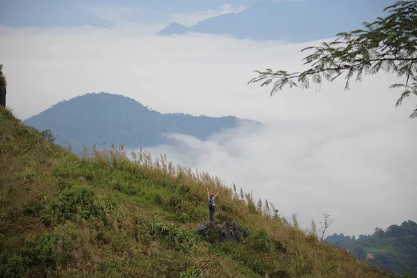 Kvinna Stående Och Njuter Utsikten Över Doi Pha Tang Chiang — Stockfoto