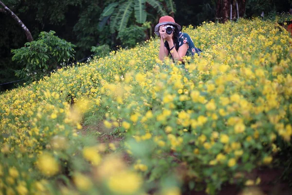 在泰国清莱的菊花地里拍照的妇女 — 图库照片