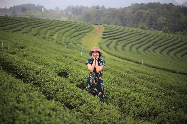 Γυναίκα Στέκεται Φυτεία Τσαγιού Στο Τσιάνγκ Ράι Ταϊλάνδη — Φωτογραφία Αρχείου