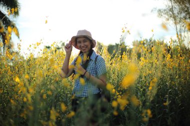 Tayland, Rayong 'daki crotalaria juncea tarlasında duran bir kadın.