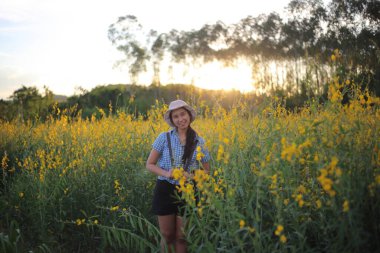 Tayland, Rayong 'daki crotalaria juncea tarlasında duran bir kadın.