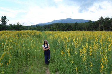 Tayland, Rayong 'daki crotalaria juncea tarlasında duran bir kadın.