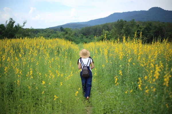 Tayland, Rayong 'daki crotalaria juncea tarlasında duran bir kadın.