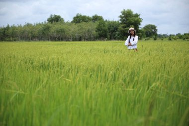 Tayland, Rayong 'da pirinç tarlasında duran bir kadın.