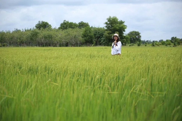Μια Γυναίκα Στέκεται Ένα Χωράφι Ρύζι Στο Rayong Ταϊλάνδη — Φωτογραφία Αρχείου