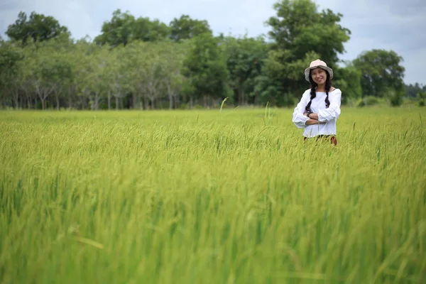 Una Donna Piedi Una Risaia Rayong Thailandia — Foto Stock