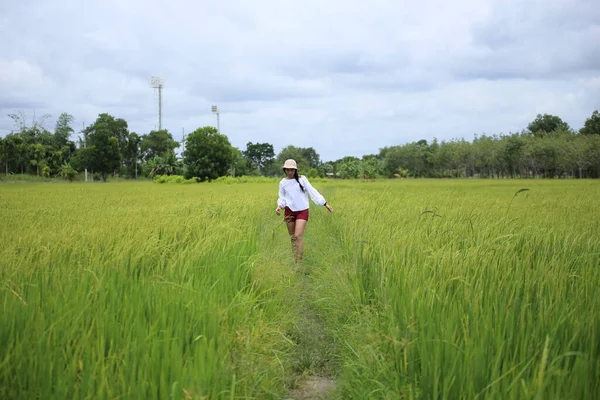 一名妇女站在泰国瑞昂的稻田里 — 图库照片