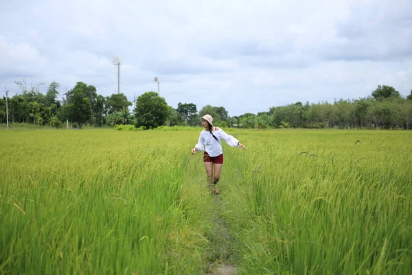 Una Donna Piedi Una Risaia Rayong Thailandia — Foto Stock