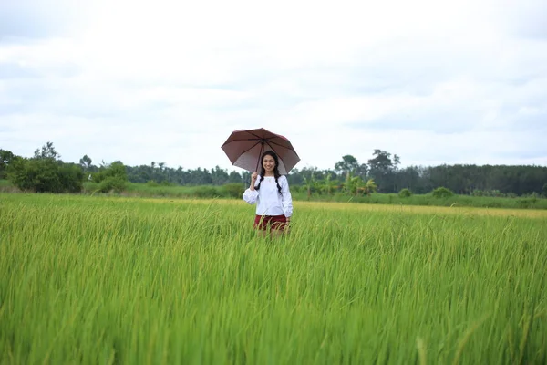 Kobieta Stojąca Parasolu Polu Ryżowym Rayong Tajlandia — Zdjęcie stockowe
