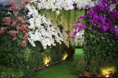 Rayong, Tayland 'da çiçek tüneli.