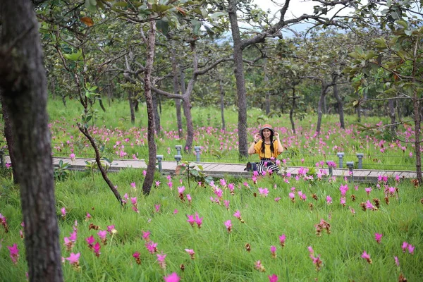 Mulheres Nos Campos Flores Krachiew Parque Nacional Hin Ngam Chaiyaphum — Fotografia de Stock