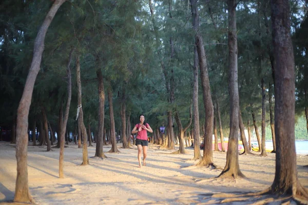 一个女人站在海滩边的松林上 — 图库照片