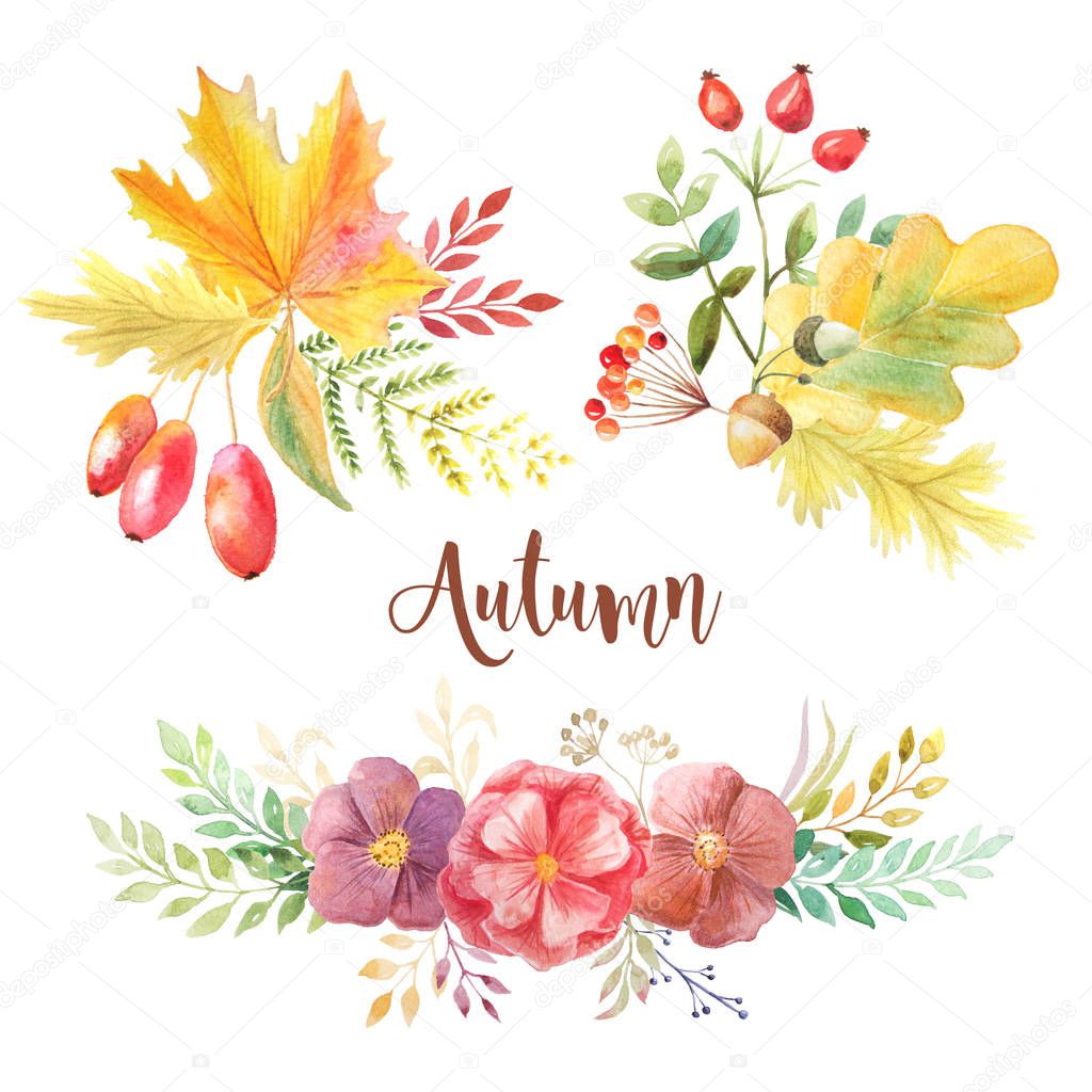 Watercolor autumn leaves, flowars and berries