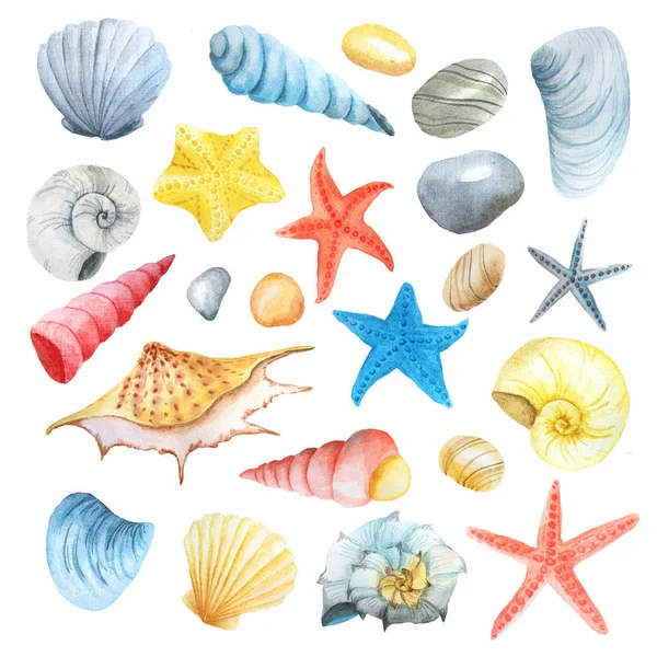 Conjunto de acuarelas de conchas marinas, estrellas y piedras — Foto de Stock