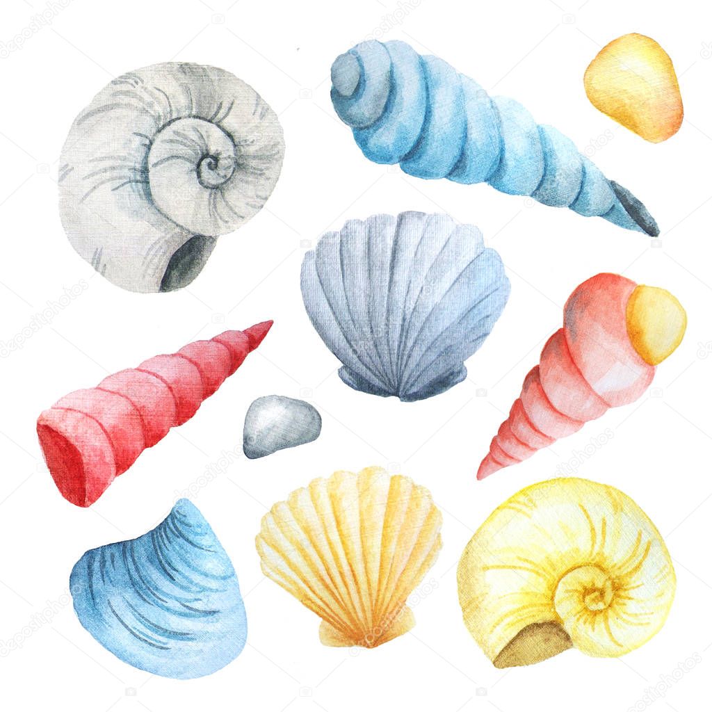 Watercolor set of seashells and stones