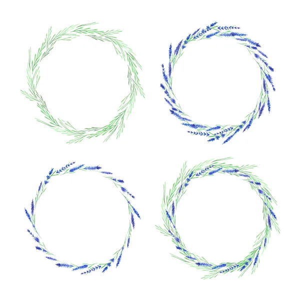 수채화 라벤더 프레임 세트 — 스톡 사진