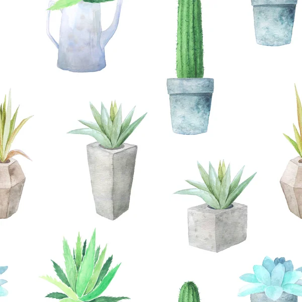 Acquerello modello senza soluzione di continuità con diverse succulente — Foto Stock