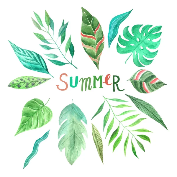 Watercolor tropical summer green leaves set — Stock Photo, Image