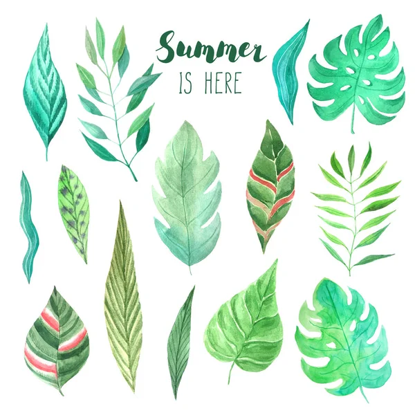 Watercolor tropical summer green leaves set — Stock Photo, Image