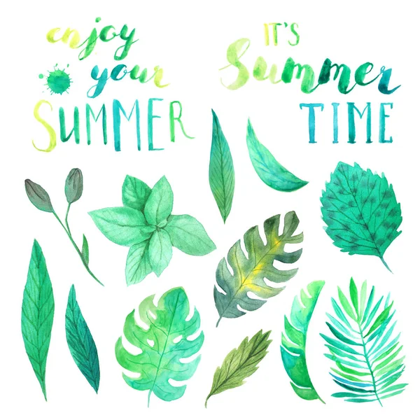 Letras de verão aquarela e folhas verdes — Fotografia de Stock