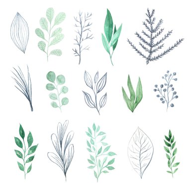 Suluboya yeşil yaprakları seti