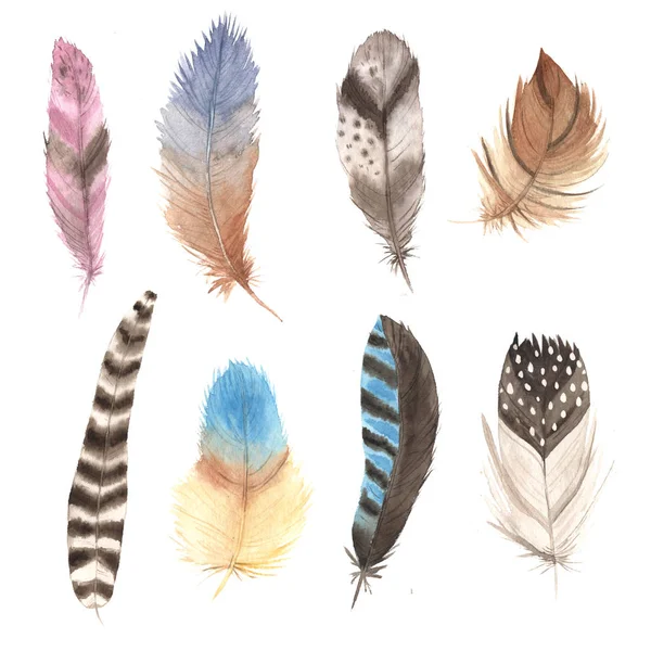 水彩五颜六色的羽毛集 — 图库照片