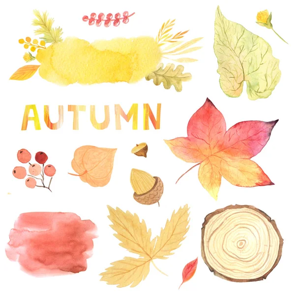 Aquarel autumn Leaves instellen — Stockfoto