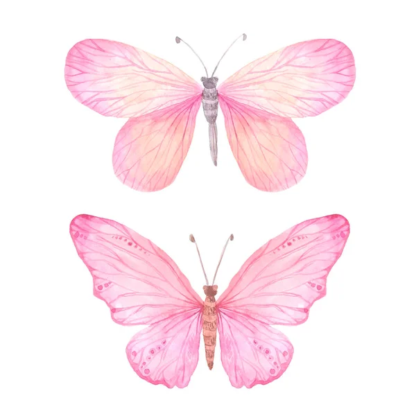 Acuarela rosa mariposas conjunto —  Fotos de Stock