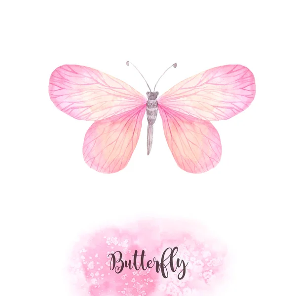 Watercolor pink butterflies set — Stock Photo, Image