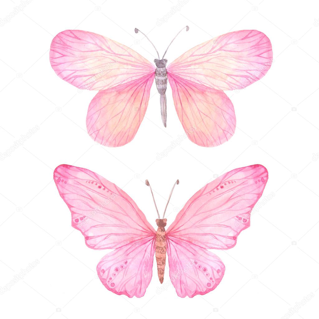 Watercolor pink butterflies set