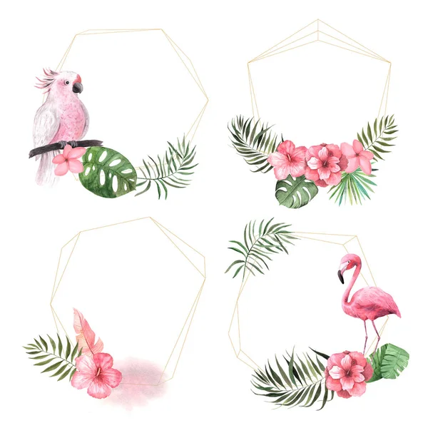 Watercolor tropical floral geometric frame